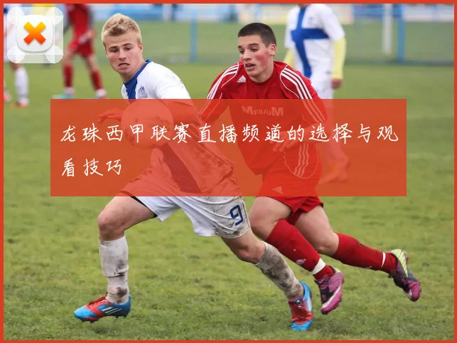 龙珠西甲联赛直播频道的选择与观看技巧